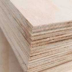 Pine plywood